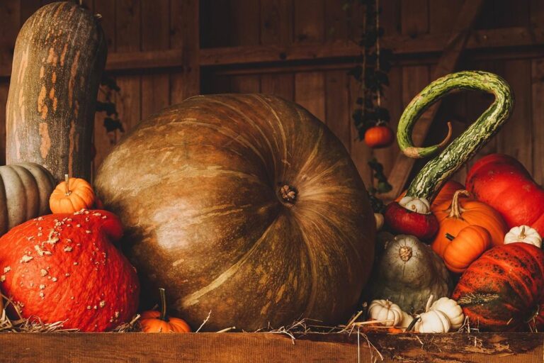 Start Your Fall Garden Today with Zone-Specific Seed-Starting Tips