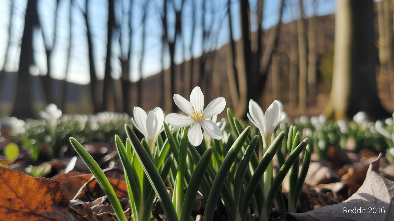 Seasonal and Habitat-Specific Plant Clues.jpg